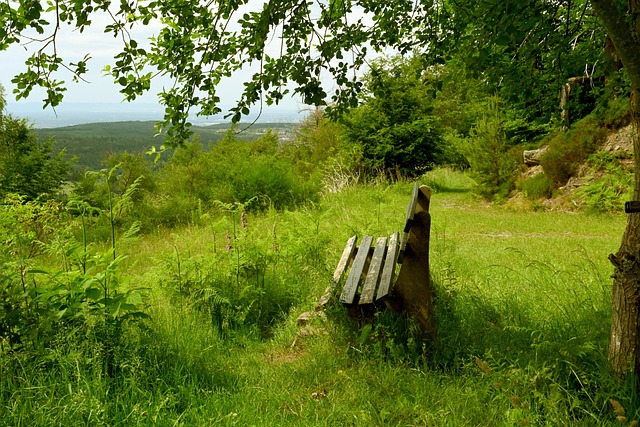 此前从未参 此前从未参