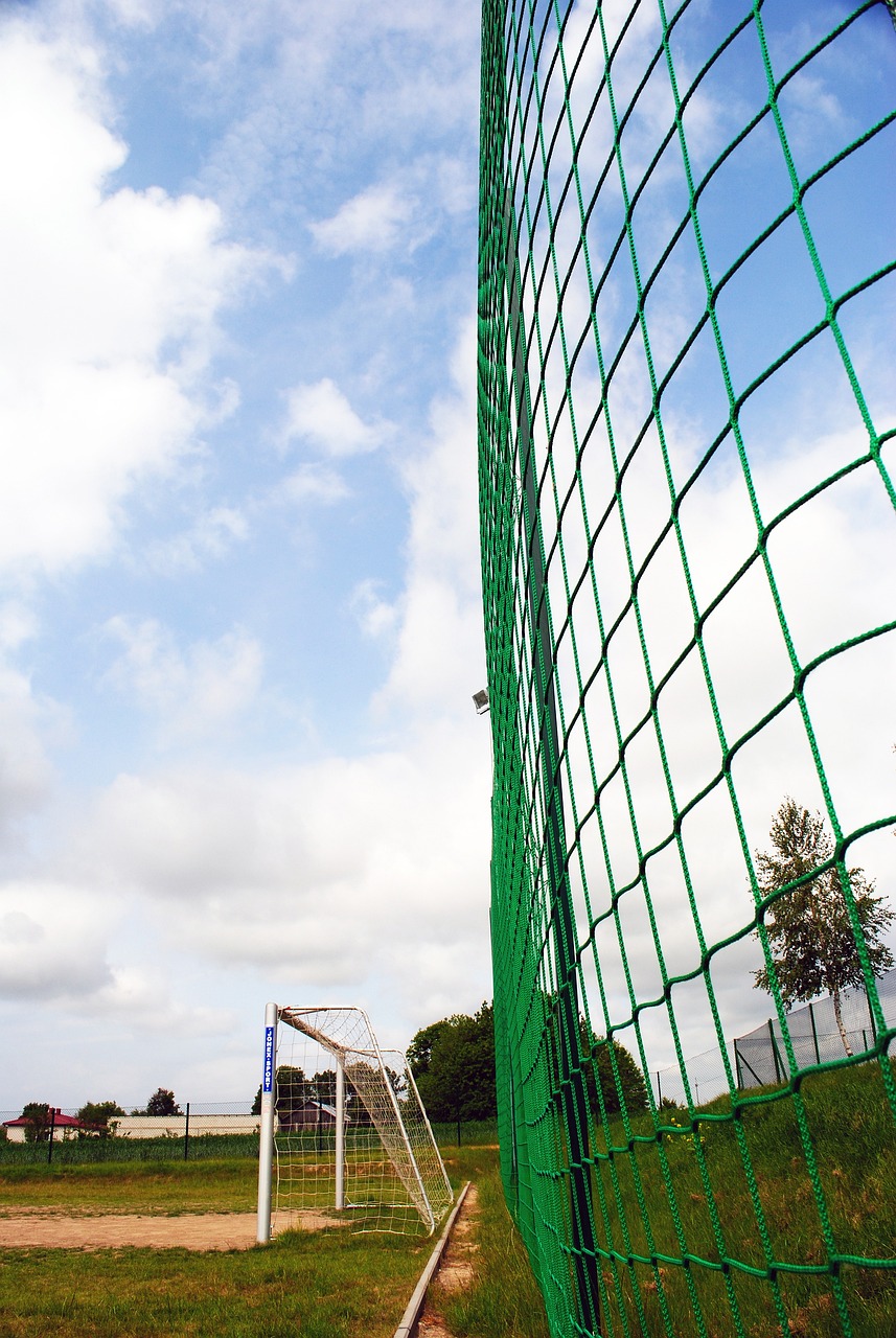 独行侠队需 独行侠队需