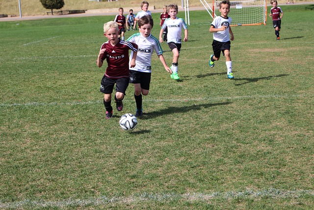 上的一系列 上的一系列