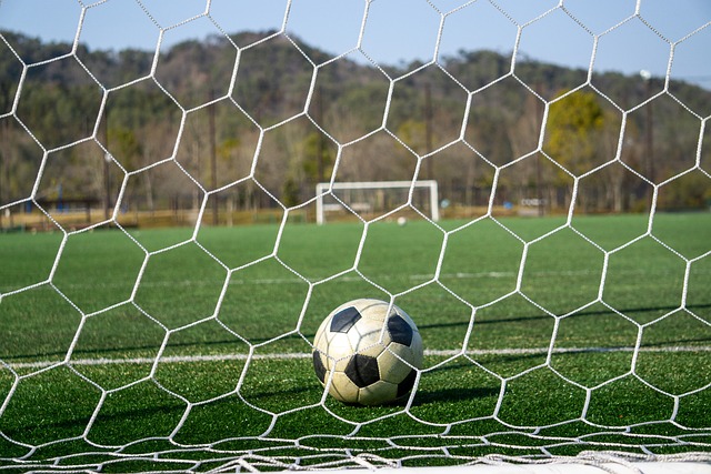 分的顶级选 分的顶级选