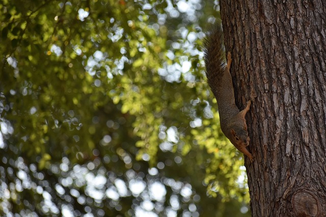 都值得球迷 都值得球迷