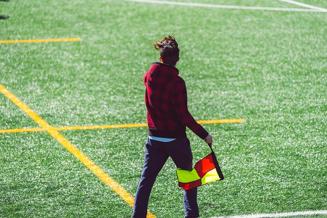 总体来看 总体来看